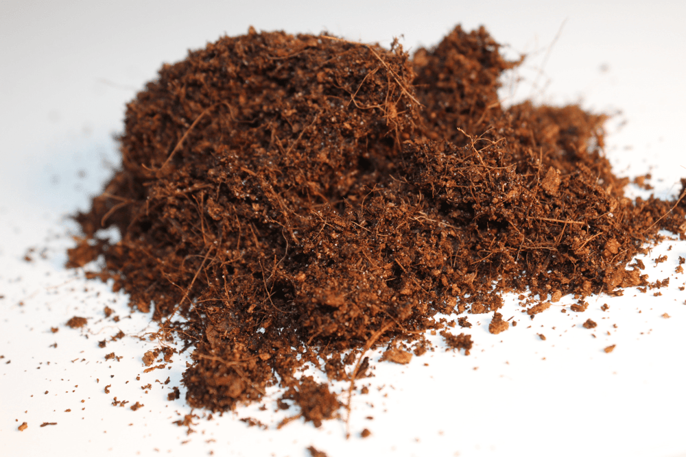 Coco Coir: What it is and what it is used for in plants