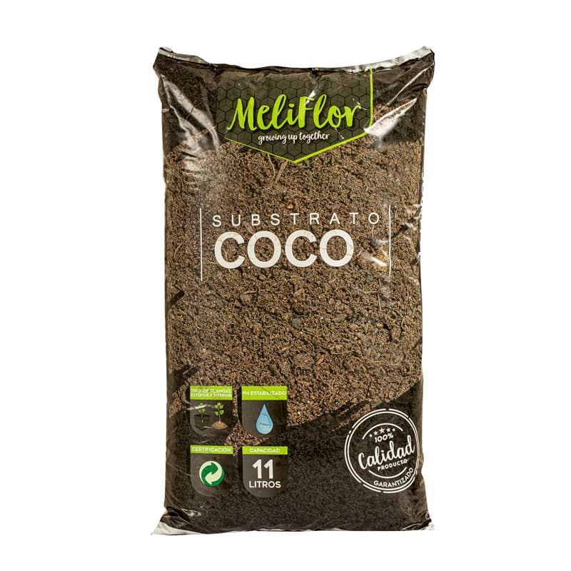 Coconut fibre — imagen 2