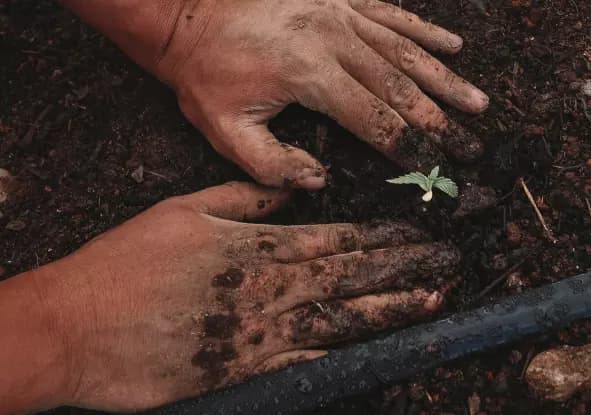 Sustainability