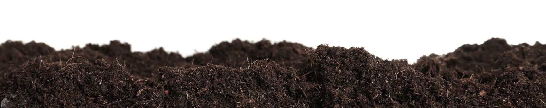 Blond peat